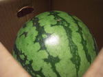 八海西瓜