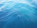 青い海